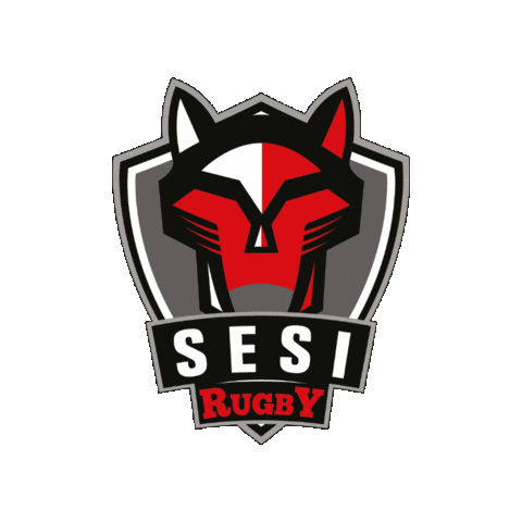 Rugby Sticker by Sesi Esporte