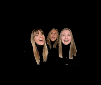 Straedetkoege kat chela malle themindsof95 GIF