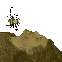 hair yes Sticker by The Head And The Heart