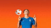 selecao brasileira cris GIF by Banco Itaú