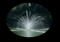 stkates college university stkates GIF