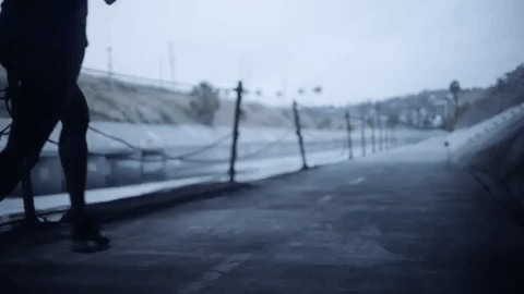 GIF by David