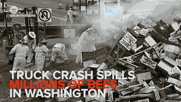 news crash GIF by NowThis 