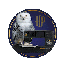 Harry Potter Diy Sticker by BERNINA International AG