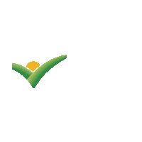 Chicken Burger Sticker by Fileni