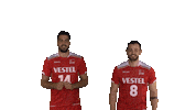 tvforgtr volleyball voleybol tvf eurovolley Sticker
