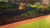 Bees Pollinating 