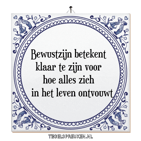 Moment Nl Sticker by Tegelspreuken.nl