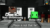 Shiba Inu GIF by Zion