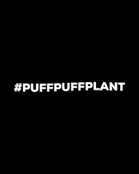 TreeRolls nature cbd trees hemp GIF