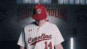 South Carolina Baseball GIF by gamecocksonline
