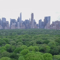 United Nations Soil GIF by FAO