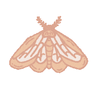 cordivie pink nature night fly Sticker