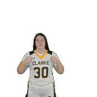 Clarke Athletics Sticker by Clarke University