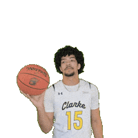 Mens Basketball Sticker by Clarke University