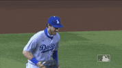 Regular Season Sport GIF by MLB