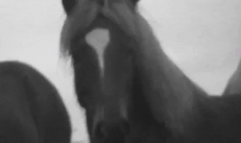 nonchalant GIF by 6lack