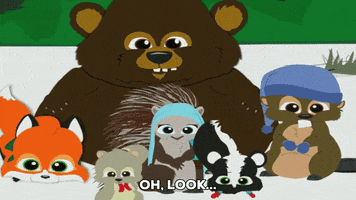 animals talking GIF by South Park 