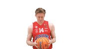 Sport Basketball Sticker by Basket_fi