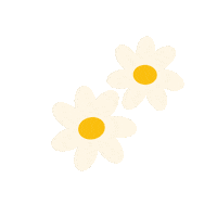 Flowers Daisies Sticker