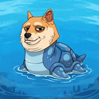 Shiba Inu Swimming GIF by Doge Pound