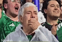 Sad World Cup GIF