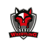 Esporte Sesi Sticker by Sesi Esporte