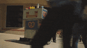 Video Game GIF by Fall Guys