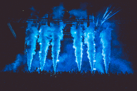 festival season festivals GIF by Tiësto