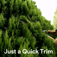 Tree Pruning GIF by Oi