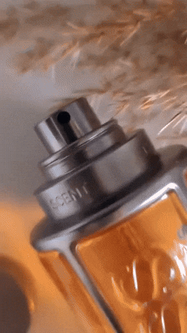 da8cc40f3e00416888ce5bd1b168f707 giphysubir GIF