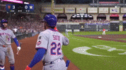 Celebrate New York Mets GIF by MLB
