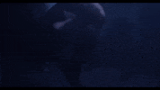 trance dancing GIF by Polyvinyl Records