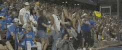 Florida State Softball GIF by NCAA Championships