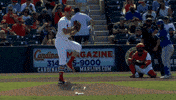 Home Run Mlb GIF by Toronto Blue Jays