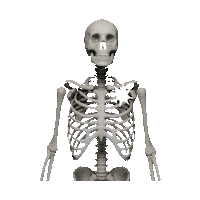 Skeleton Sticker by imoji