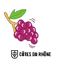 CotesDuRhoneWines cheers wine environment vino Sticker