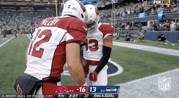Arizona Cardinals Football GIF by NFL