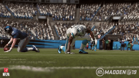 GIF by Carolina Panthers