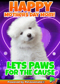 Mothers Day Taylor GIF by PetJuvenate - PJ