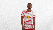 Football Sport GIF by RB Leipzig