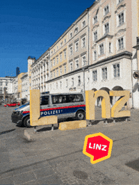 Car Lol GIF by Linz News