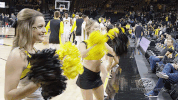 basketball GIF by University of Iowa Hawkeyes Athletics