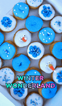YoYonutz winter donuts doughnuts winter wonderland GIF