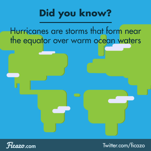 facts hurricanes GIF by Ficazo