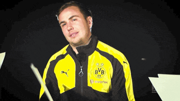 borussia dortmund smile GIF by Bundesliga