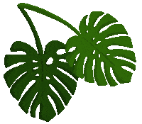 Plant Sticker