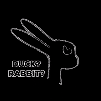 Joy8 drawing rabbit line duck GIF