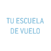 Piloto Aire Sticker by VirtualFly
