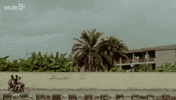 Film Cinema GIF by MUBI